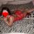 Yeni Escort Narin - Bahçelievler - Image 3